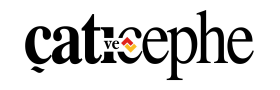 Çatı ve Cephe Dergisi logosu